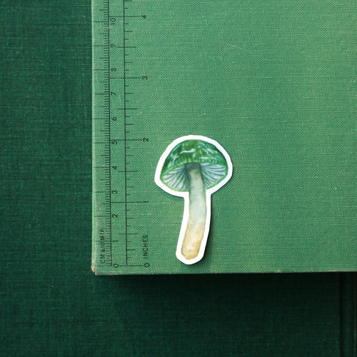 Load image 1 in gallery view. Parrot Waxcap Mushroom Vinyl Stickers: Hygrocybe psittacina