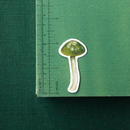 Load image 1 in gallery view. Parrot Waxcap Mushroom Vinyl Stickers: Hygrocybe psittacina