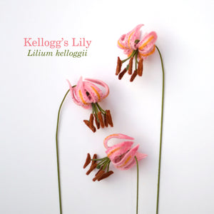 Kellogg's Lily Felt Flower - Lilium kelloggii - fiber sculpture, fabric flower