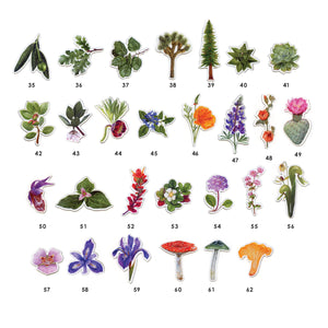 Magnets: Waterproof Native California Flora and Fauna Magnets