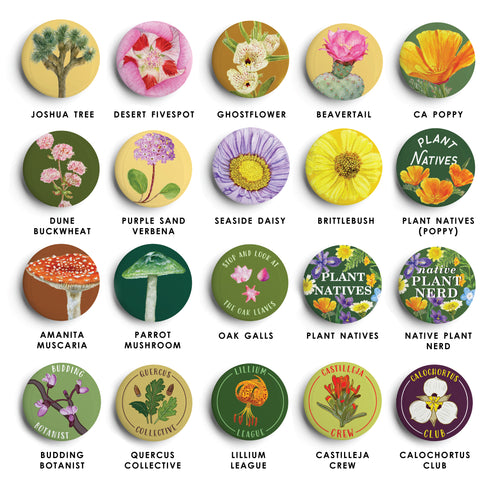 Load image 1 in gallery view. Round Magnets: Mix and Match Set of 4