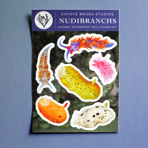 Load image 1 in gallery view. Nudibranchs Sticker Sheet