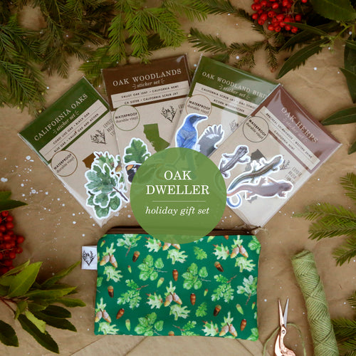 Load image 1 in gallery view. Oak Dweller Gift Set: Themed Gift Set including Stickers, Zipper Pouch