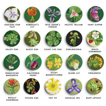 Pinback Buttons: Mix and Match Set of 4