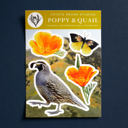Load image 1 in gallery view. Poppy & Quail Sticker Sheet
