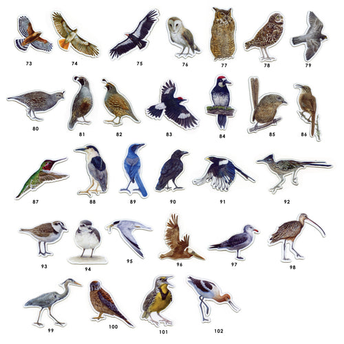 Load image 1 in gallery view. Magnets: Waterproof Native California Flora and Fauna Magnets