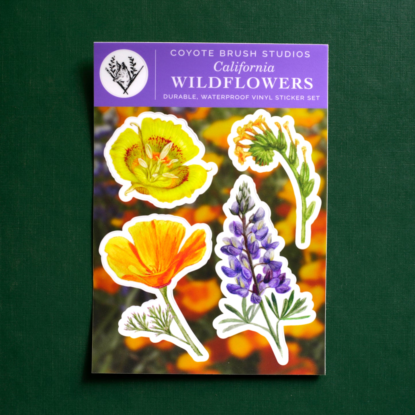 Wildflowers of California Sticker Sheet