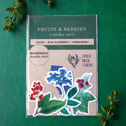 Load image 1 in gallery view. Berries and Fruits of CA Vinyl Stickers: Toyon, Thimbleberry, Elderberry