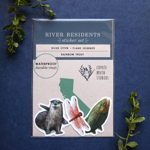 Load image 1 in gallery view. River Residents Vinyl Stickers: River Otter, Rainbow Trout, Flame Skimmer Dragonfly