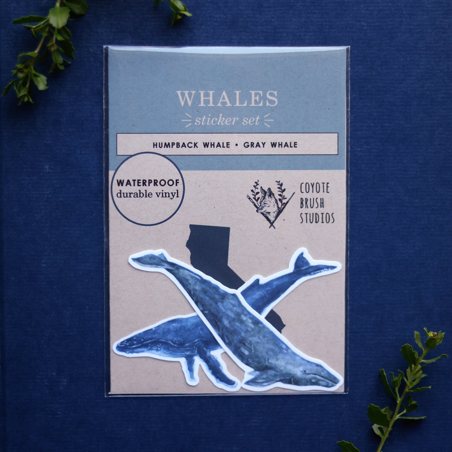 Whales Vinyl Stickers: Humpback & Gray Whale