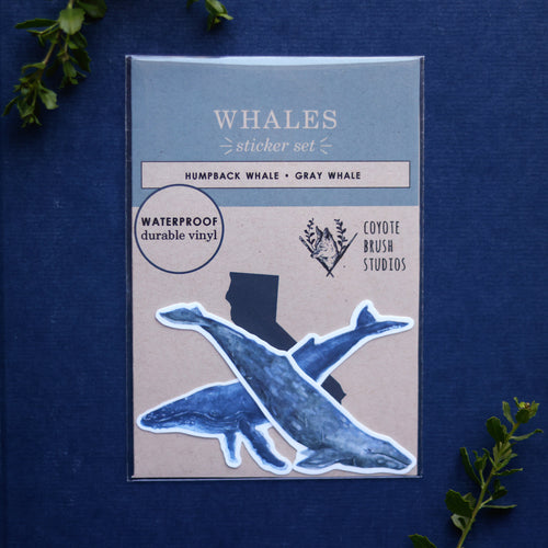 Load image 1 in gallery view. Whales Vinyl Stickers: Humpback & Gray Whale