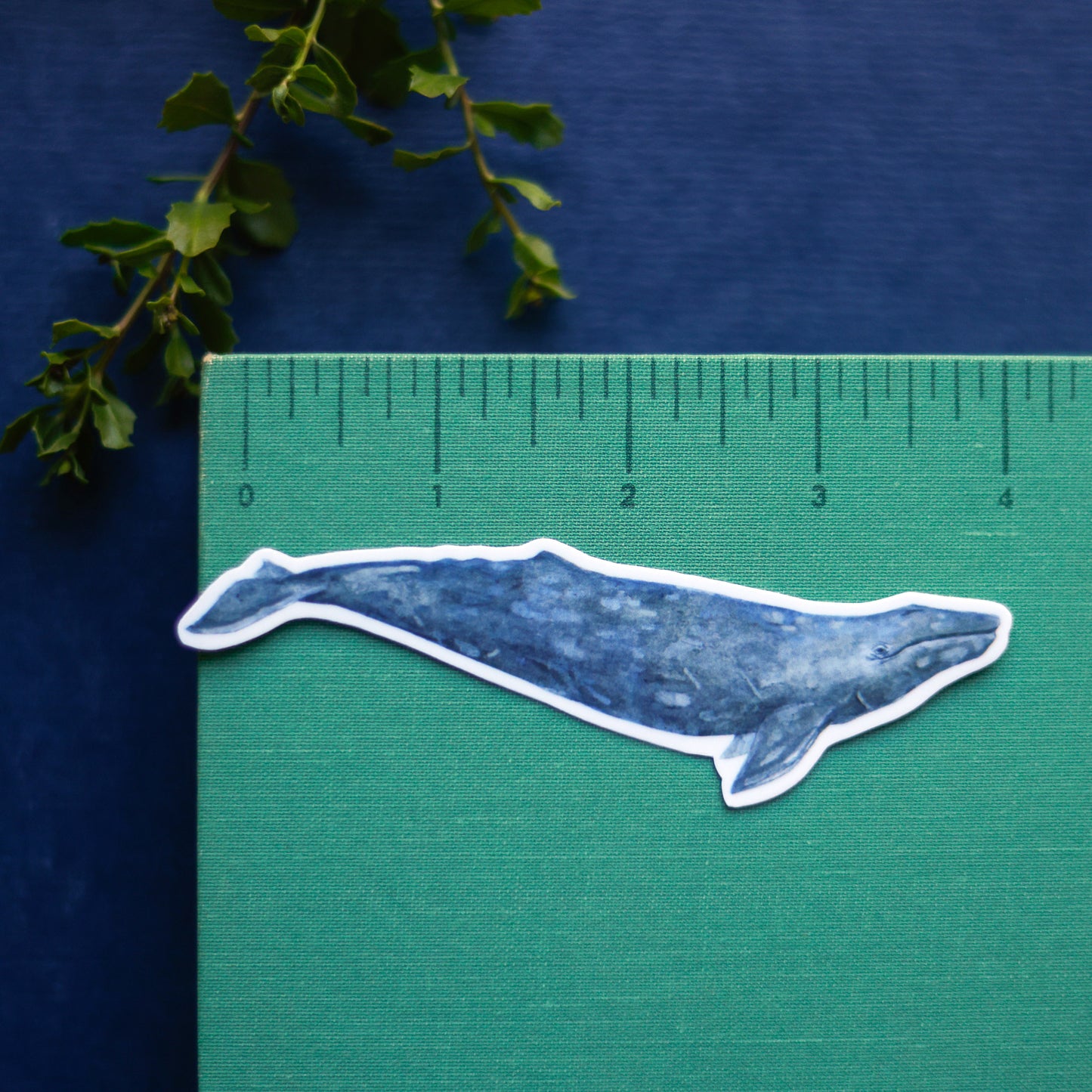 Whales Vinyl Stickers: Humpback & Gray Whale