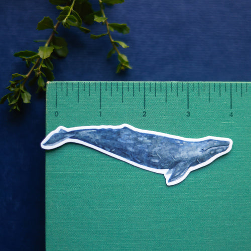 Load image 1 in gallery view. Whales Vinyl Stickers: Humpback & Gray Whale