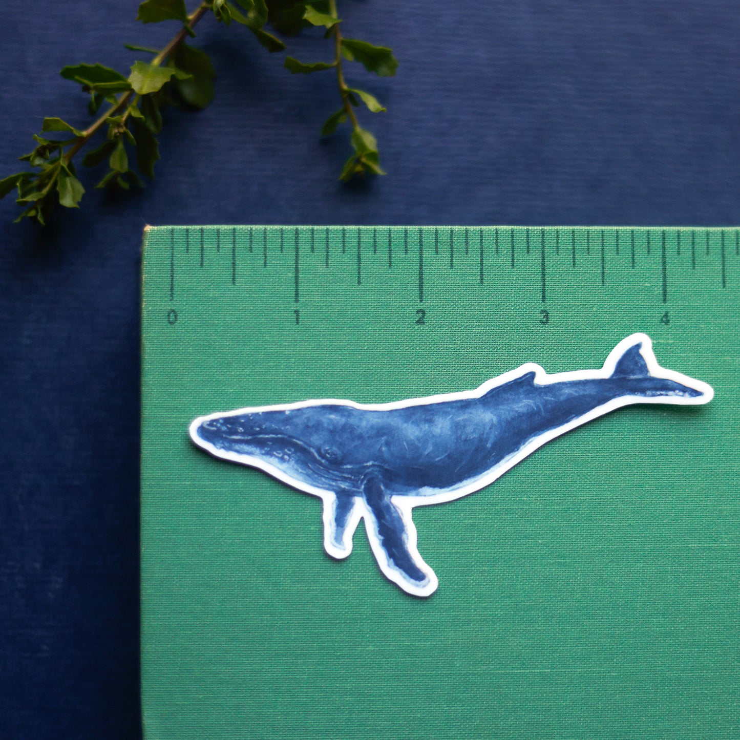 Whales Vinyl Stickers: Humpback & Gray Whale