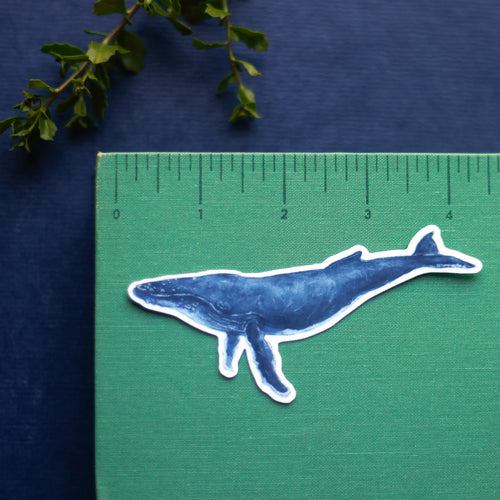 Load image 1 in gallery view. Whales Vinyl Stickers: Humpback & Gray Whale