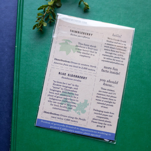 Load image 1 in gallery view. Berries and Fruits of CA Vinyl Stickers: Toyon, Thimbleberry, Elderberry