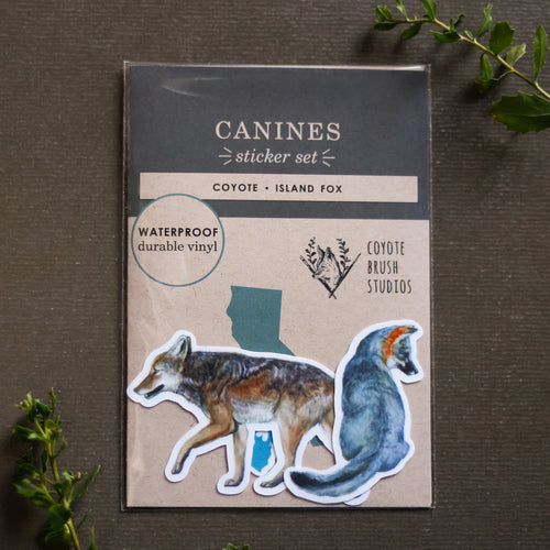 Load image 1 in gallery view. Canines of California Vinyl Stickers: Channel Island Fox, Coyote
