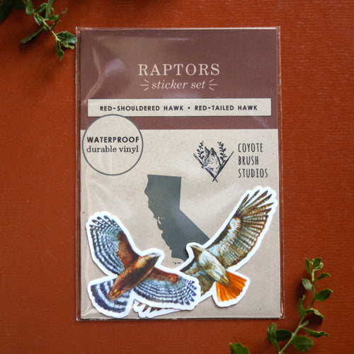 Load image 1 in gallery view. Raptor Vinyl Stickers: Red Tailed Hawk, Red Shouldered Hawk