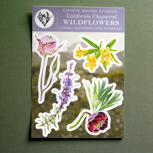Load image 1 in gallery view. Chaparral Wildflowers Sticker Sheet