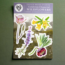 Chaparral Wildflowers Sticker Sheet