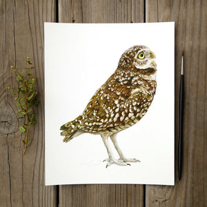 Burrowing Owl 8x10 Print - Native California Wildlife, Bird Print, Owl, Birder gift