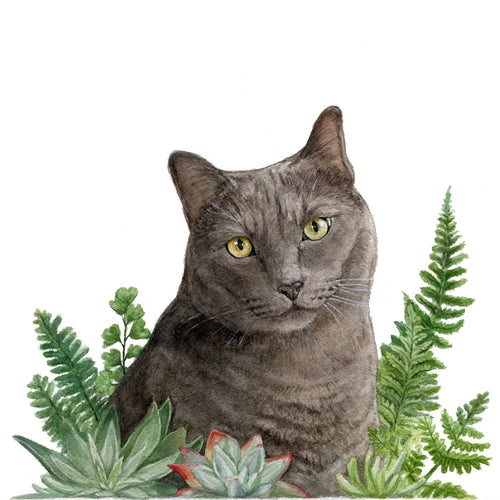 Load image 1 in gallery view. CA Native Plants + Pet Portrait Commission