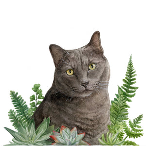 CA Native Plants + Pet Portrait Commission