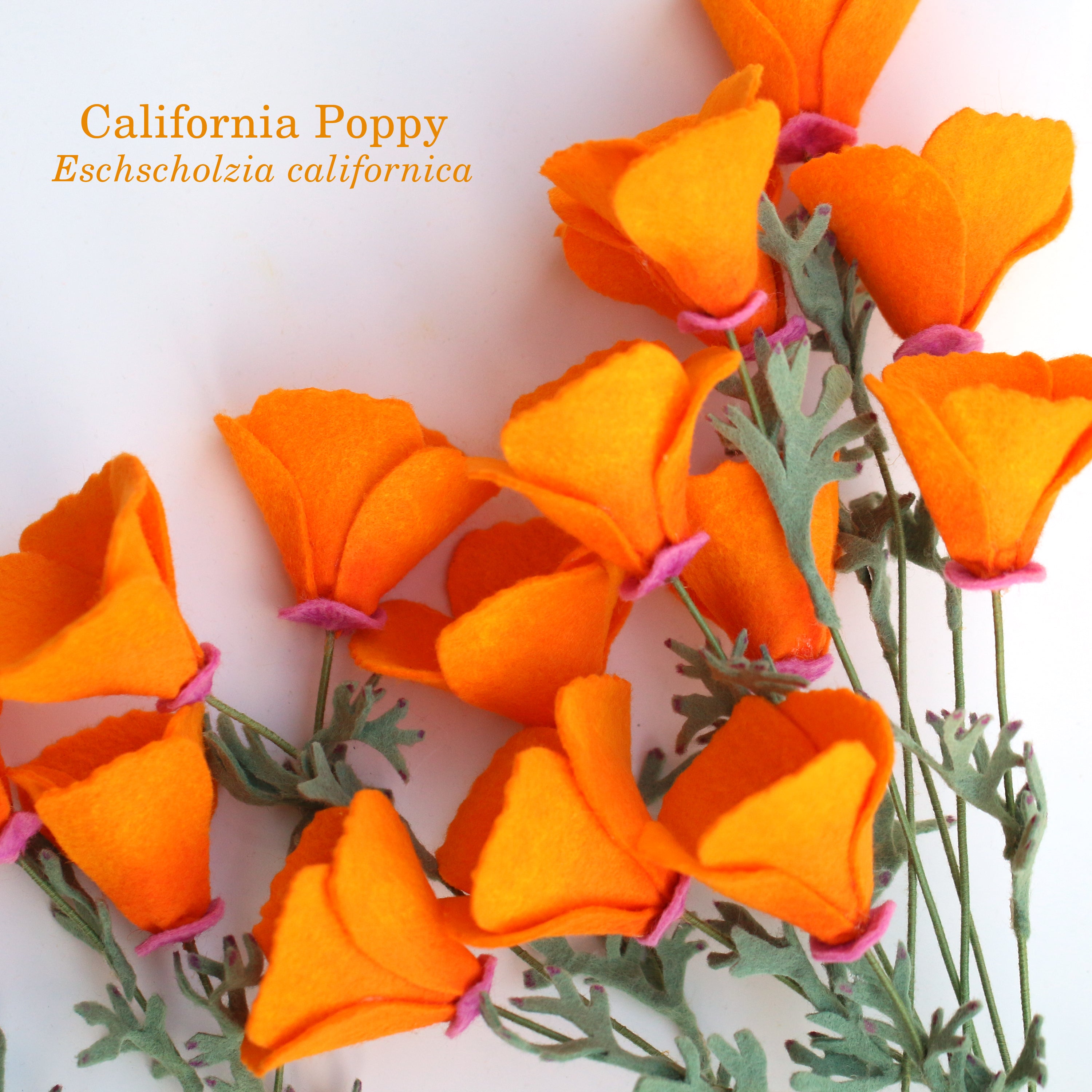 California Poppy Felt Flower - Eschscholzia californica - fiber sculpture, fabric flower