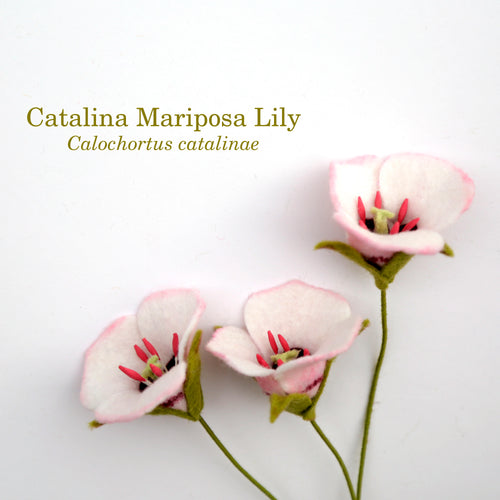 Load image 1 in gallery view. Catalina Mariposa Lily - Calochortus catalinae - fiber sculpture, fabric flower