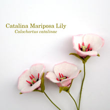 Catalina Mariposa Lily - Calochortus catalinae - fiber sculpture, fabric flower
