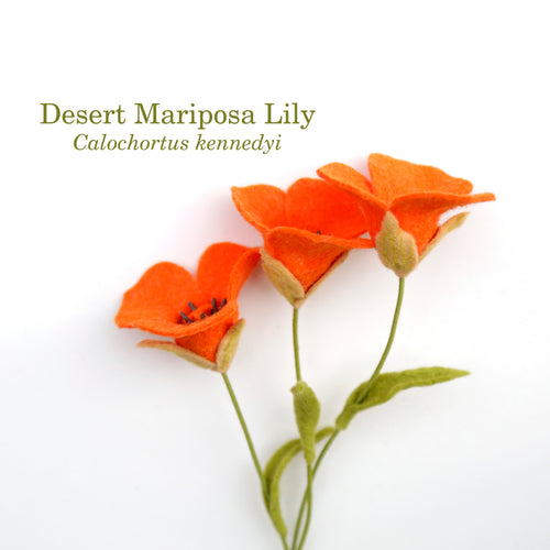 Load image 1 in gallery view. Desert Mariposa Lily - Calochortus kennedyi - fiber sculpture, fabric flower