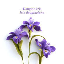 Douglas Iris Felt Flower - Iris douglasiana - fiber sculpture, fabric flower