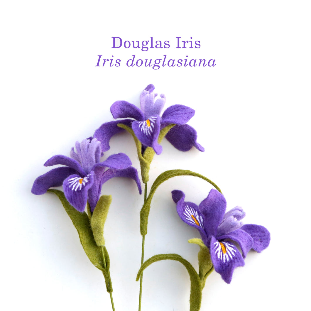 Douglas Iris Felt Flower - Iris douglasiana - fiber sculpture, fabric flower
