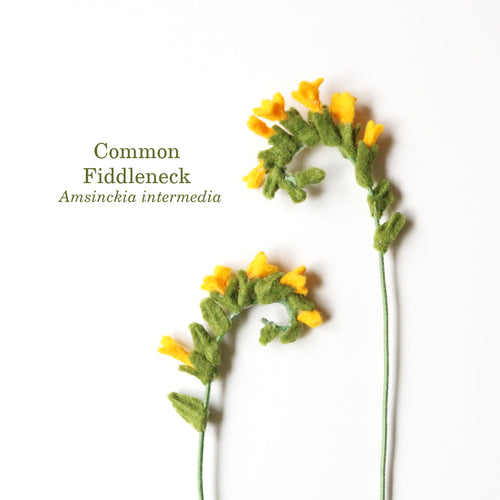 Common Fiddleneck Felt Flower - Amsinickia intermedia - fiber sculpture, fabric flower