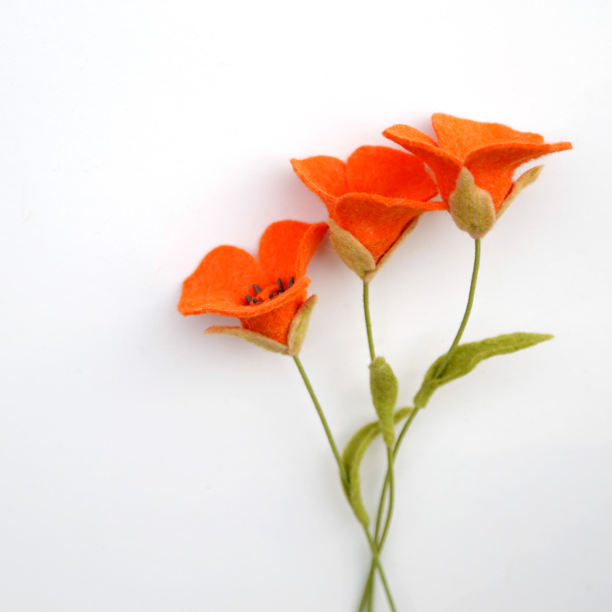 Desert Mariposa Lily - Calochortus kennedyi - fiber sculpture, fabric flower