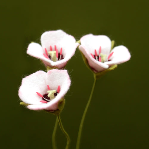 Load image 1 in gallery view. Catalina Mariposa Lily - Calochortus catalinae - fiber sculpture, fabric flower