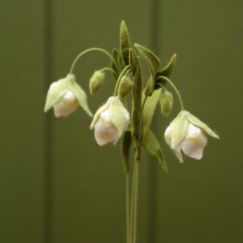 Load image 1 in gallery view. White Globe Lily - Calochortus albus - fiber sculpture, fabric flower