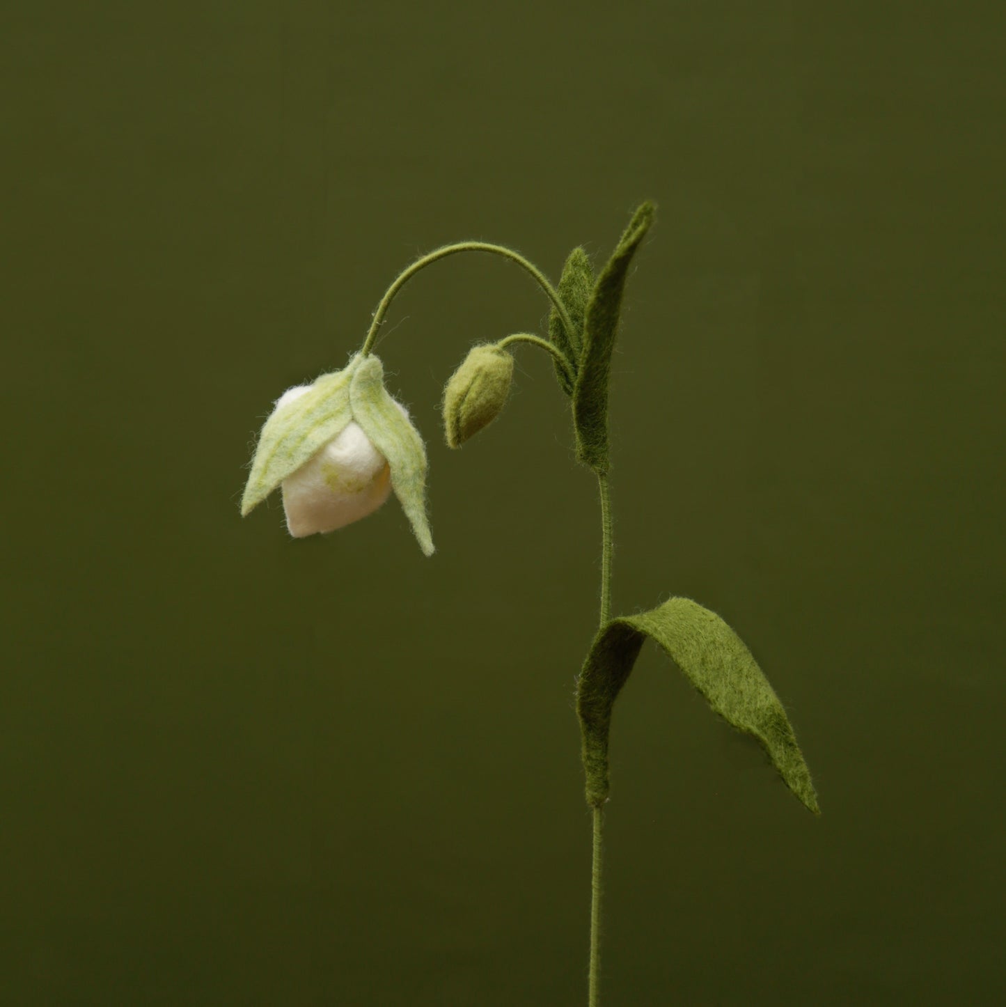 White Globe Lily - Calochortus albus - fiber sculpture, fabric flower