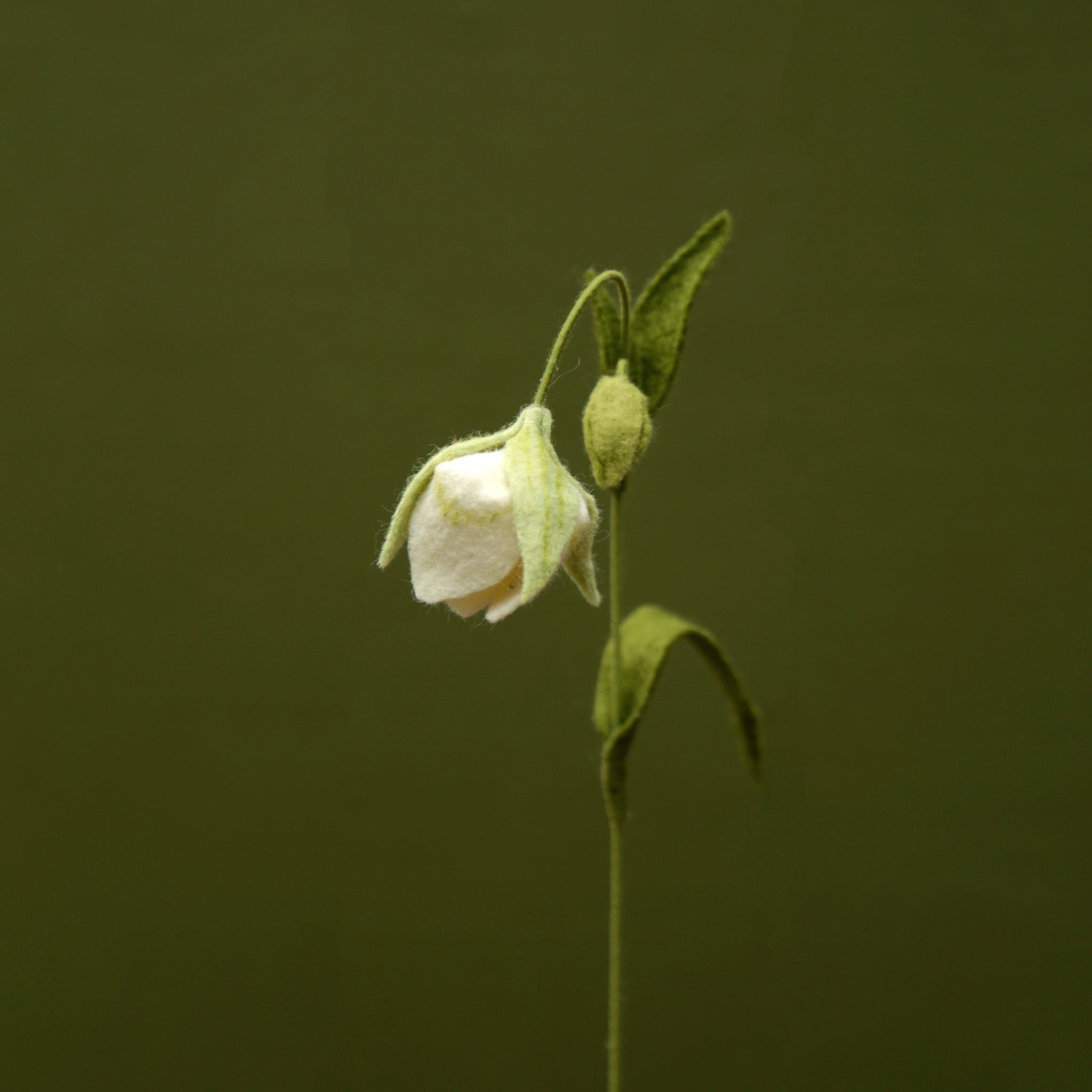 White Globe Lily - Calochortus albus - fiber sculpture, fabric flower