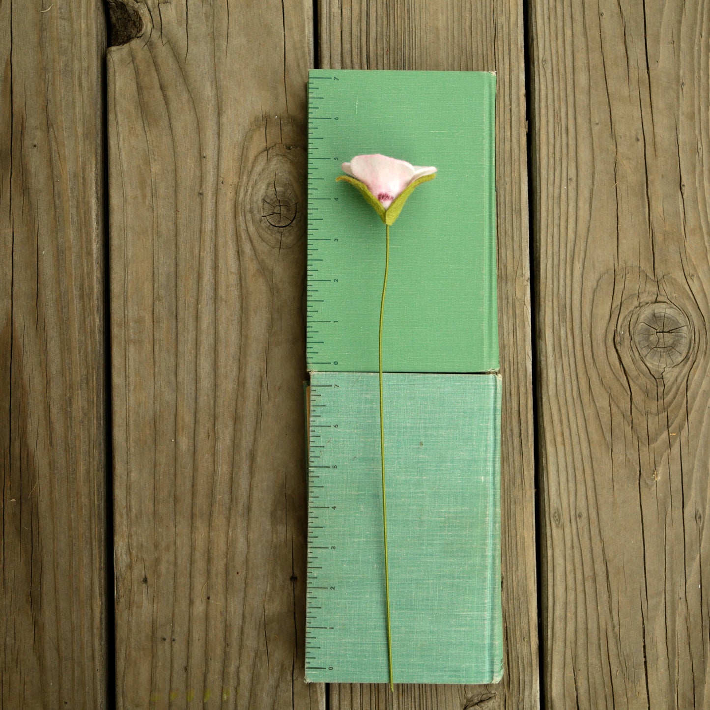 Catalina Mariposa Lily - Calochortus catalinae - fiber sculpture, fabric flower