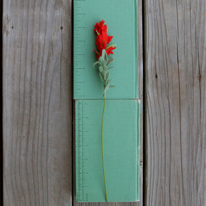 Woolly Paintbrush Felt Flower - Castilleja foliolosa - fiber sculpture, fabric flower