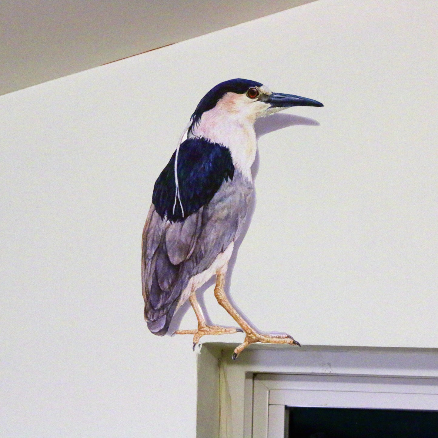 Black-Crowned Night Heron Wall Decal