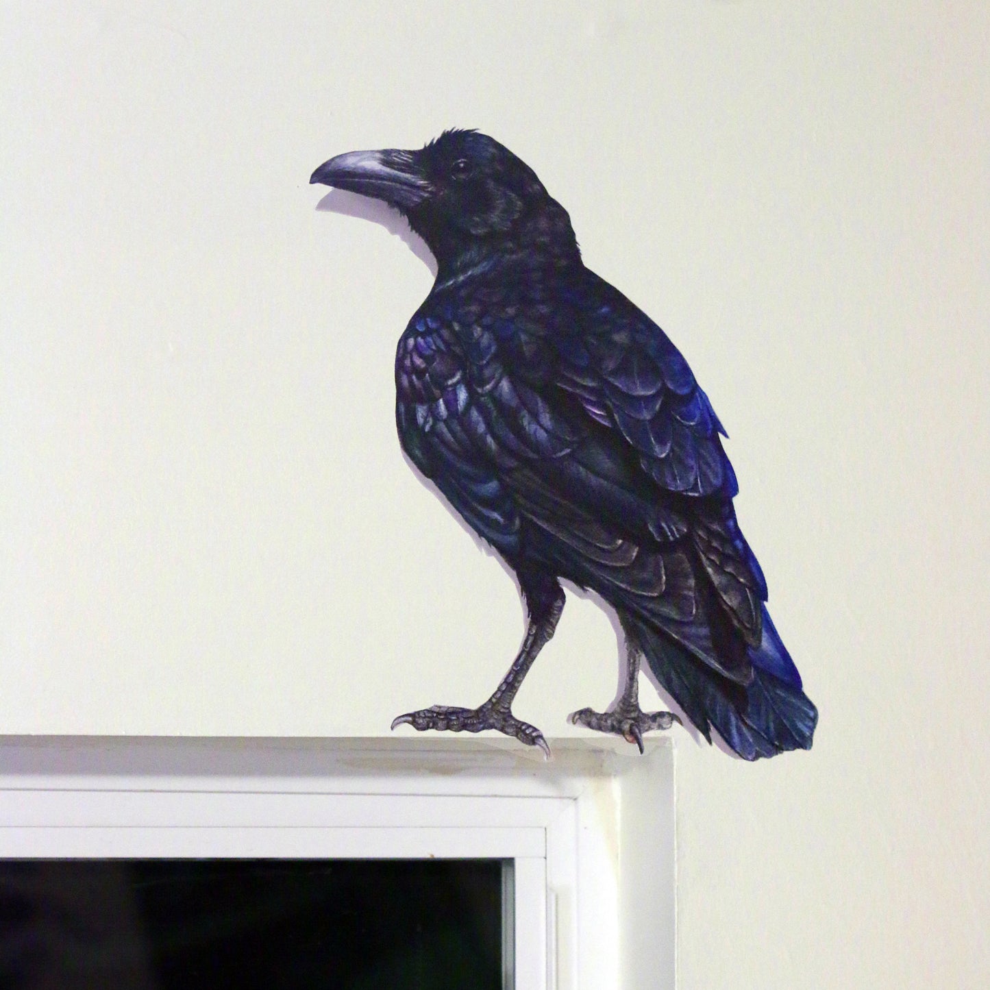 Realistic raven against a white wall perched above a window.