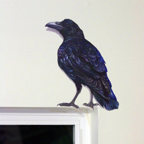 Load image 1 in gallery view. Realistic raven against a white wall perched above a window.