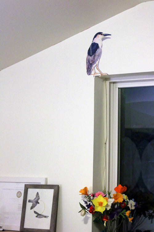 Load image 1 in gallery view. Zoomed out picture showing size of heron.