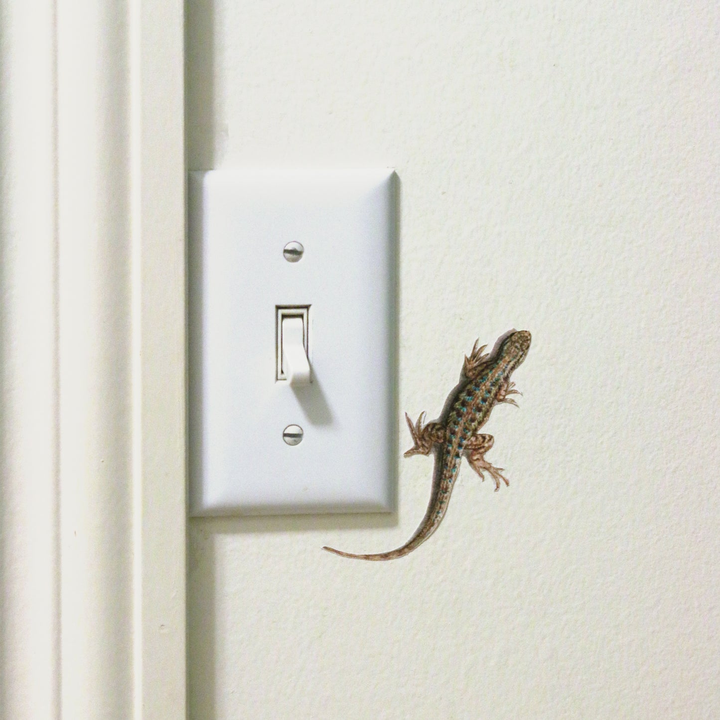 Realistic Western Fence Lizard next to a light switch. 