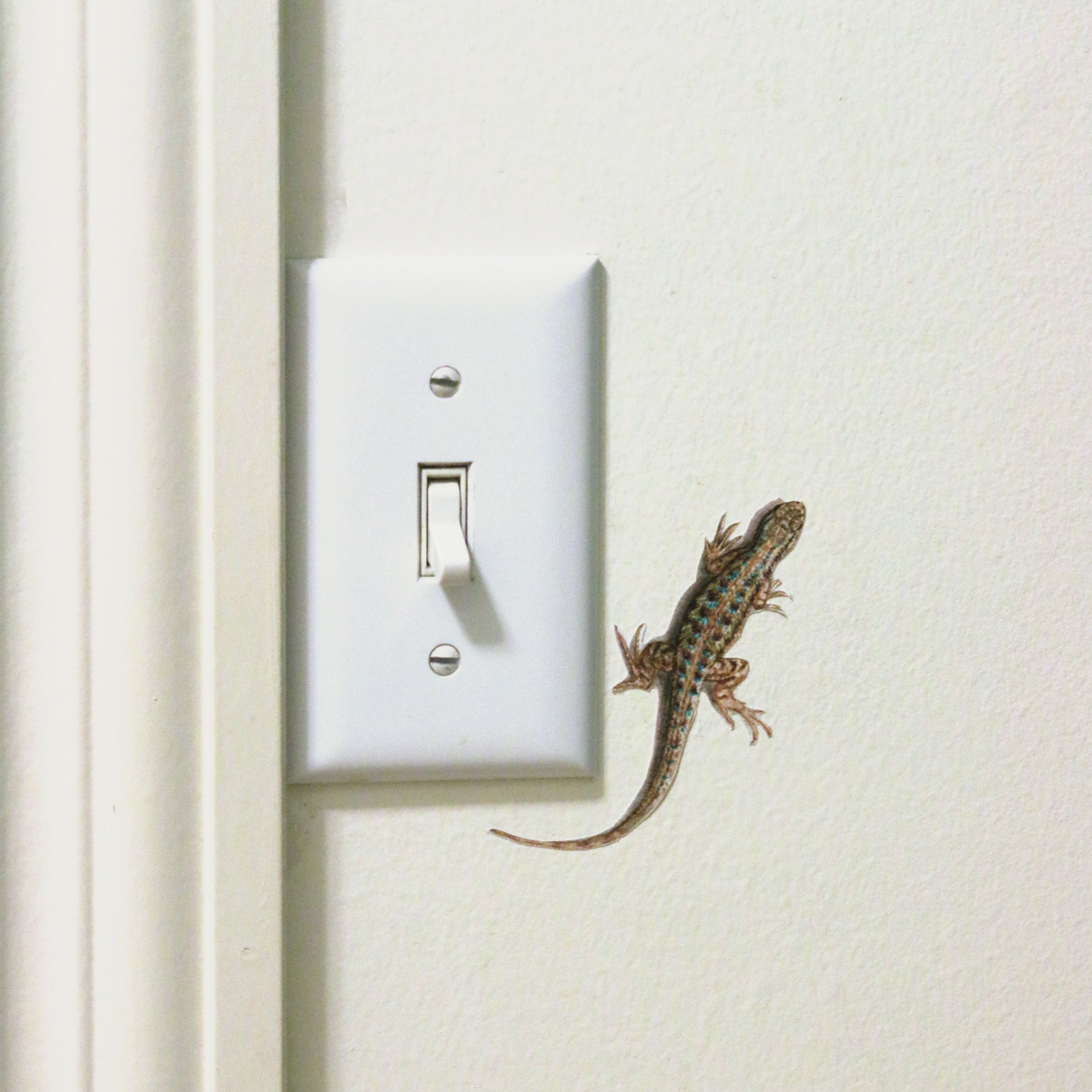 Realistic Western Fence Lizard next to a light switch. 