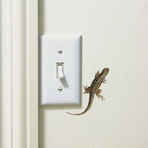Load image 1 in gallery view. Realistic Western Fence Lizard next to a light switch. 