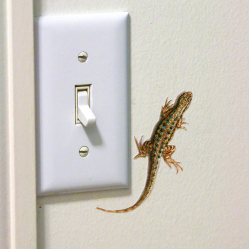 Load image 1 in gallery view. Close up of western fence lizard.