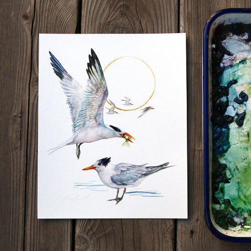 Load image 1 in gallery view. Terns - 8x10 Print - Native California Bird Print